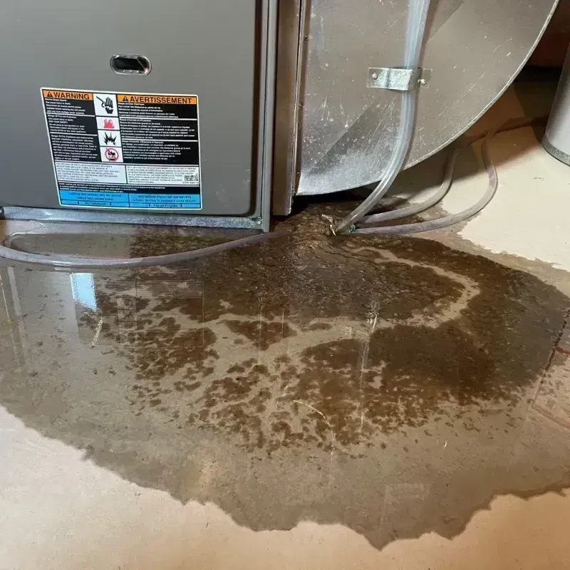 Appliance Leak Cleanup in Anderson County, KY